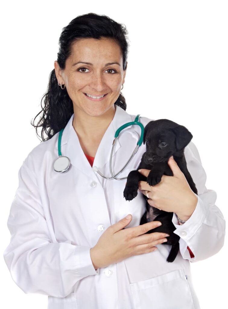 Female vet with puppy